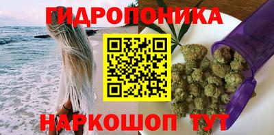 эйфоретик Кандалакша