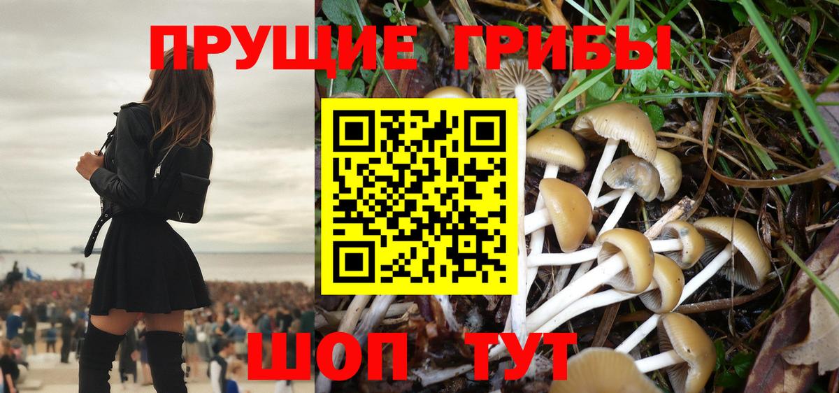 Псилоцибиновые грибы GOLDEN TEACHER Ликино-Дулёво