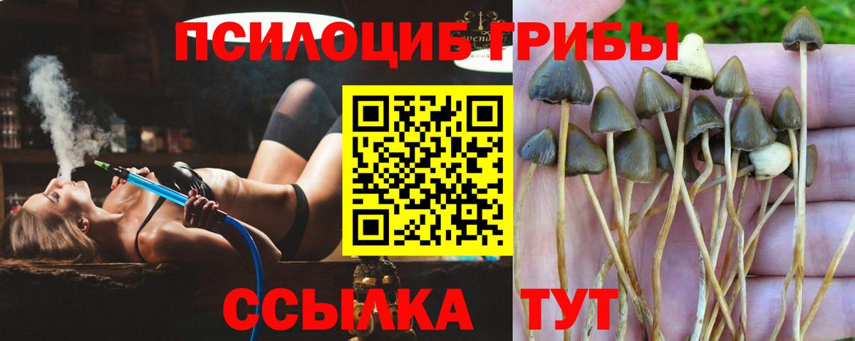 Ликино-Дулёво  Галлюциногенные грибы мухоморы  что такое   Вход с VPN 